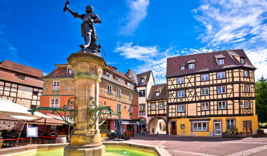 HÔTEL LA VIGNETTE Saint Hippolyte (alsace)