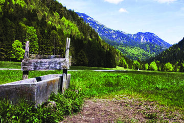 FERIEN- UND APARTHOTEL HAUS BAYERWALD Neureichenau