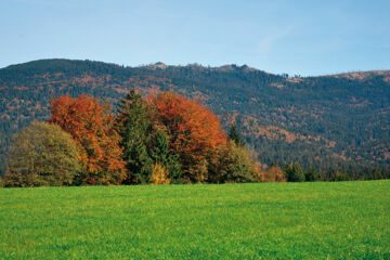 FERIEN- UND APARTHOTEL HAUS BAYERWALD Neureichenau