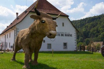 AUBERGE DE BELLELAY - HOTEL DE L'OURS (B&B) Saicourt